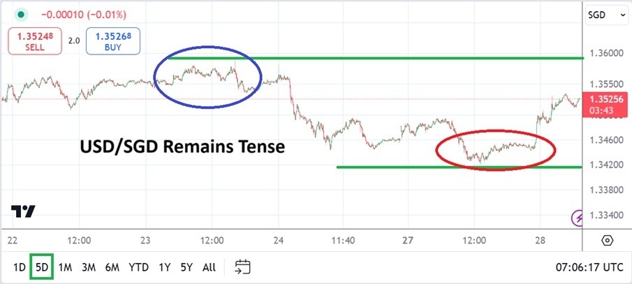 【XM Market Analysis】--USD/SGD Analysis: Lower Price Values as Agitation Remains a Factor(图1)