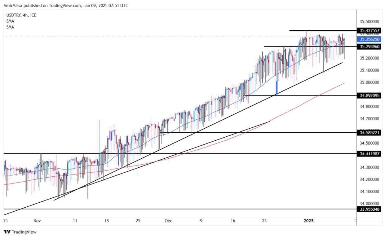 【XM Forex】--USD/TRY Forecast: Reports Reveal Liras Significant Appreciation in 2024(图1)